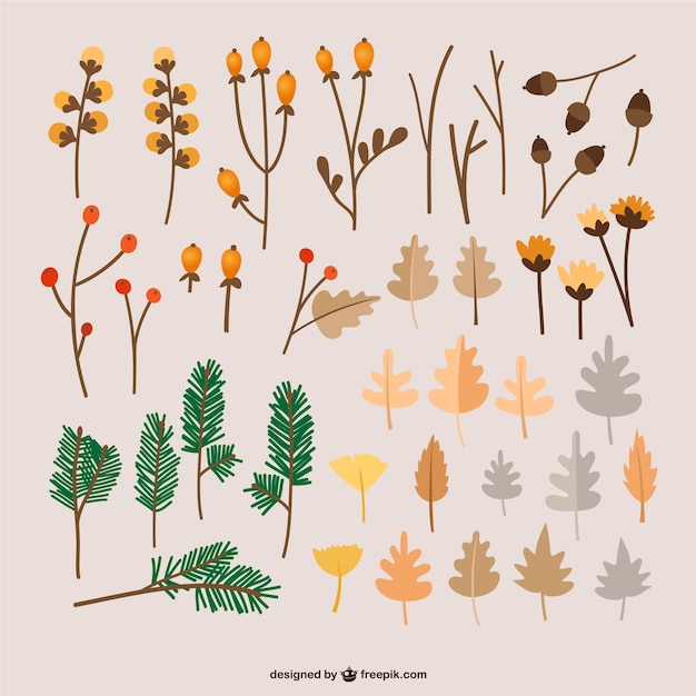 Autumn leaves illustrations