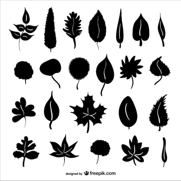 Autumn leaves silhouettes