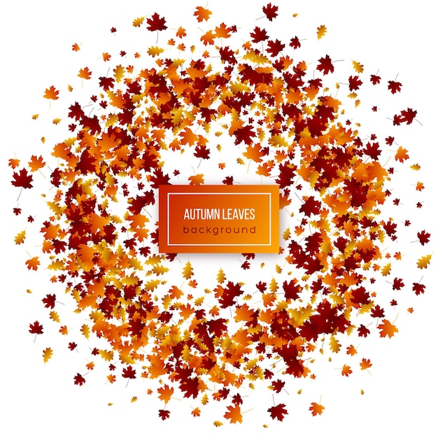 Free Vector autumn leaves on white background.