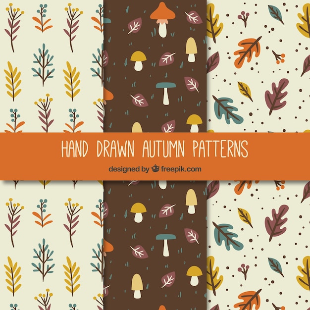 Autumn pattern collection