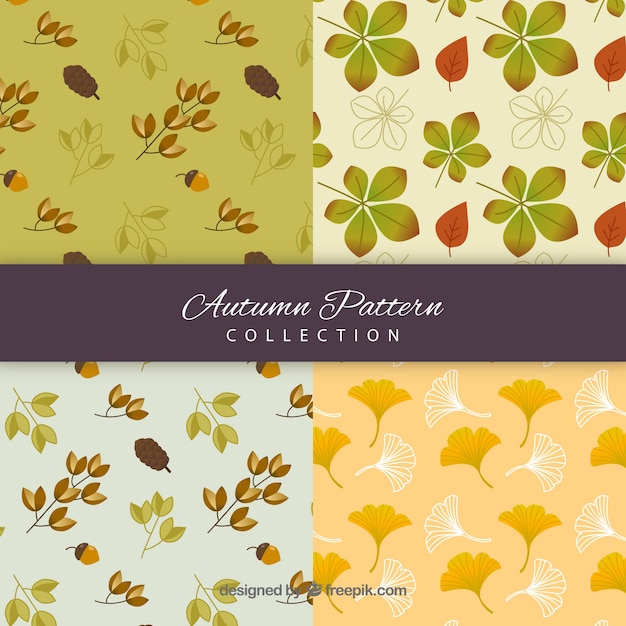 Autumn pattern collection