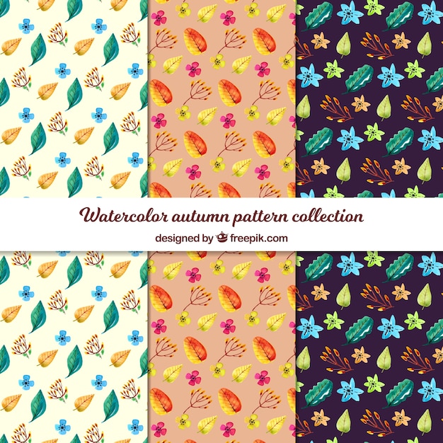 Autumn pattern collection