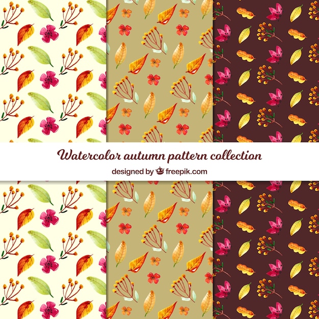 Free Vector autumn pattern collection