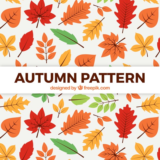 Autumn pattern with colorful leaves