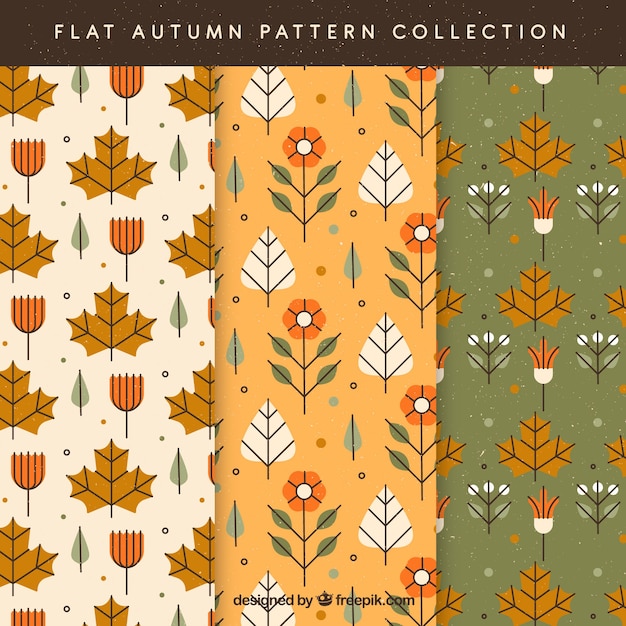 Free Vector autumn patterns collection with colorful leaves