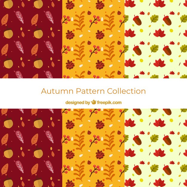 Autumn patterns collection with colorful leaves