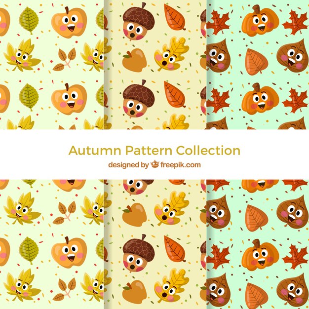 Autumn patterns collection with colorful leaves