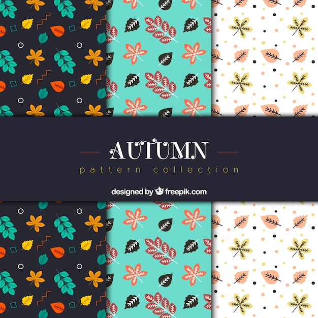 Free Vector autumn patterns collection with elements