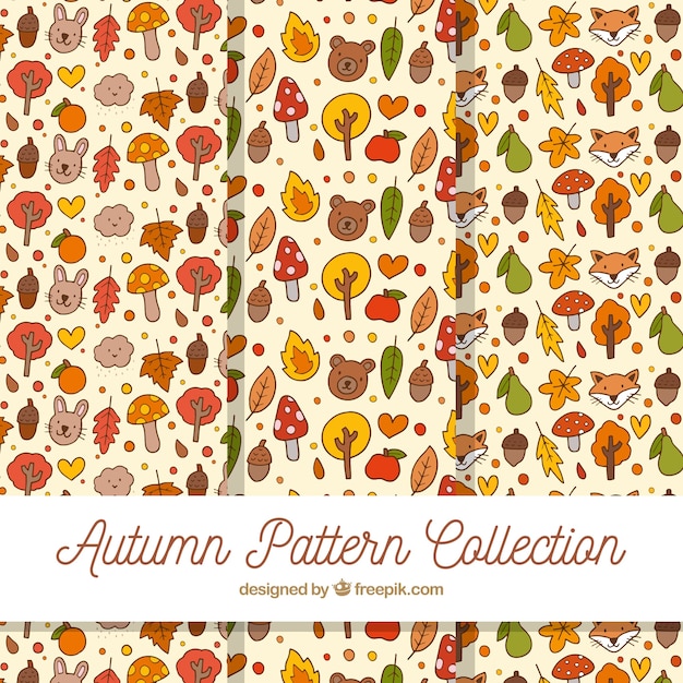 Free vector autumn patterns collection with elements