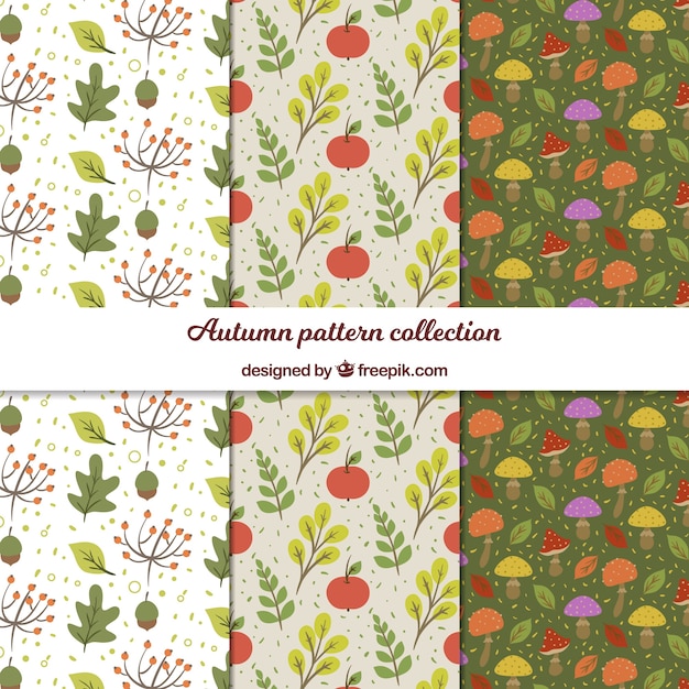 Free vector autumn patterns collection with flat leaves