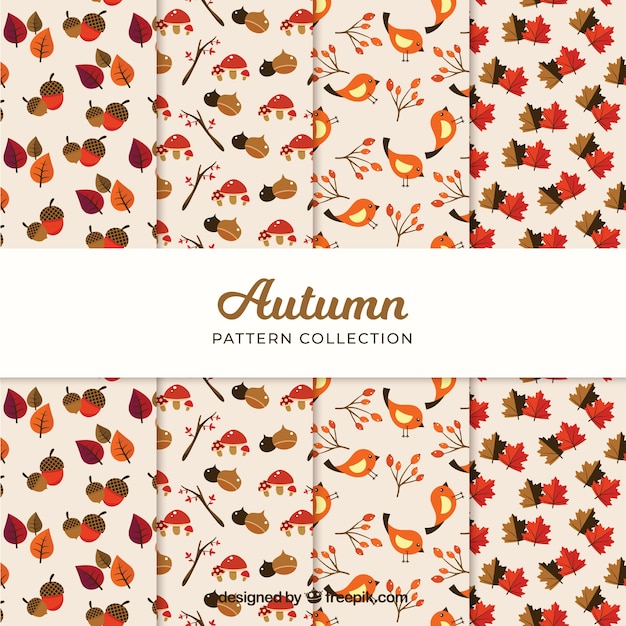 Free Vector autumn patterns collection with leaves and elements