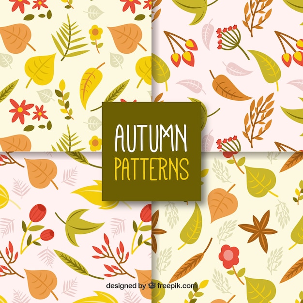 Autumn patterns collection with leaves