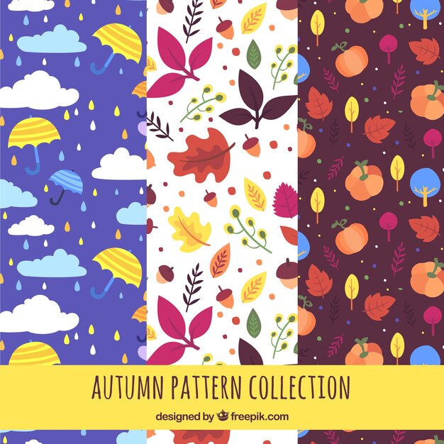 Autumn patterns collection with nature 