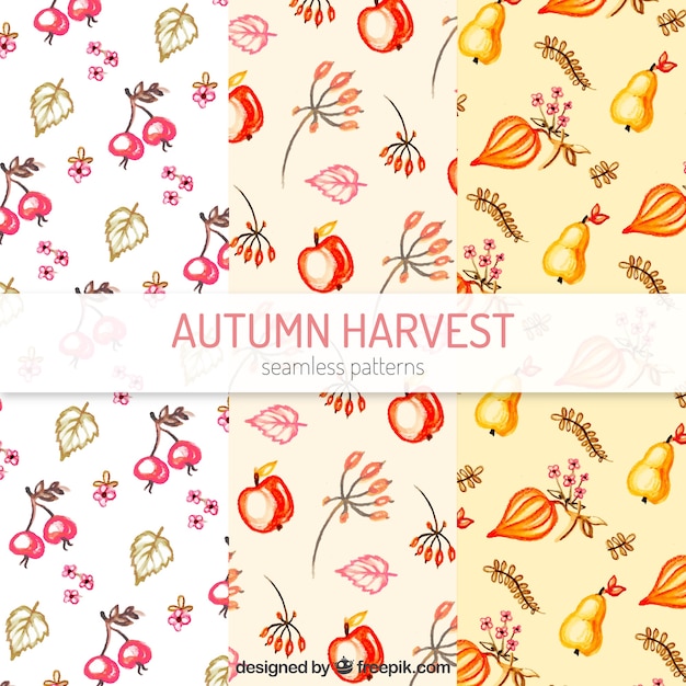 Free Vector autumn patterns with leaves and fruits