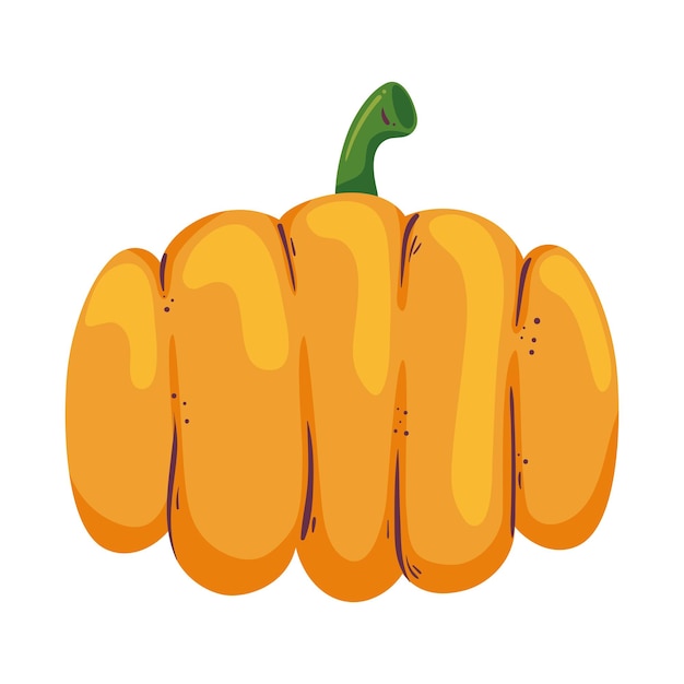 Free Vector autumn pumpkin harvest icon isolated