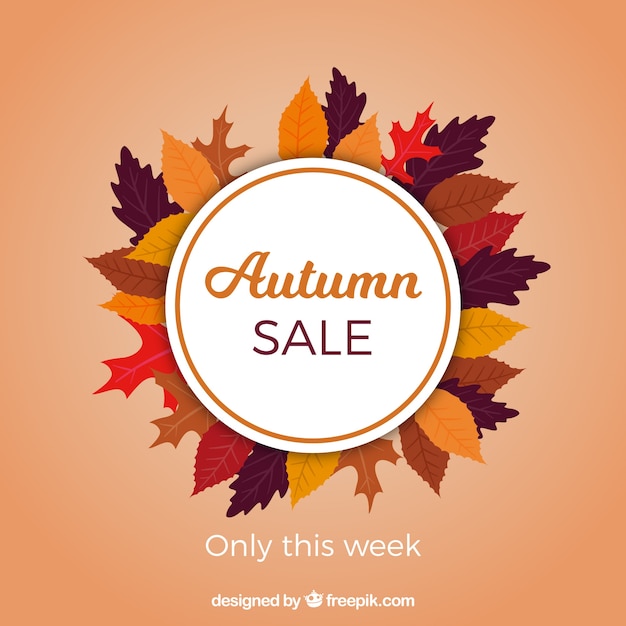 Autumn sale background with colorful leaves