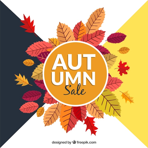 Autumn sale background with colorful leaves