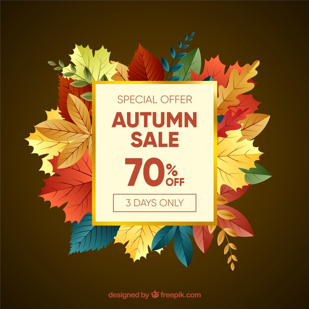 Autumn sale background with leaves