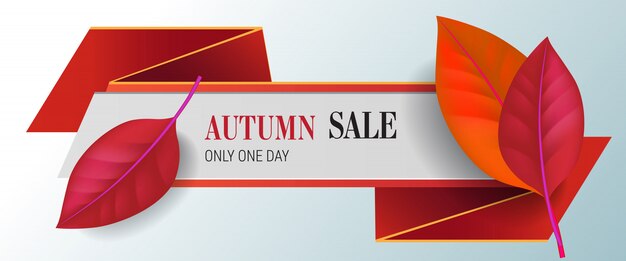 Autumn sale, only one day lettering with red leaves. Autumn offer or sale advertising