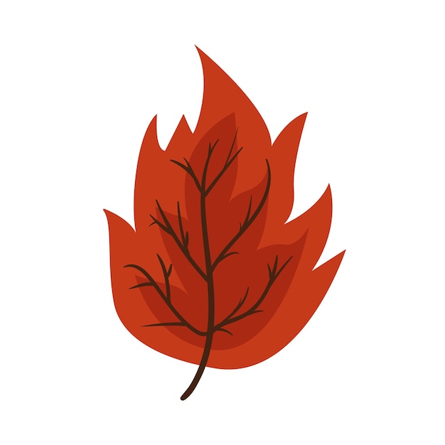 Free Vector autumn season leaf nature icon isolated