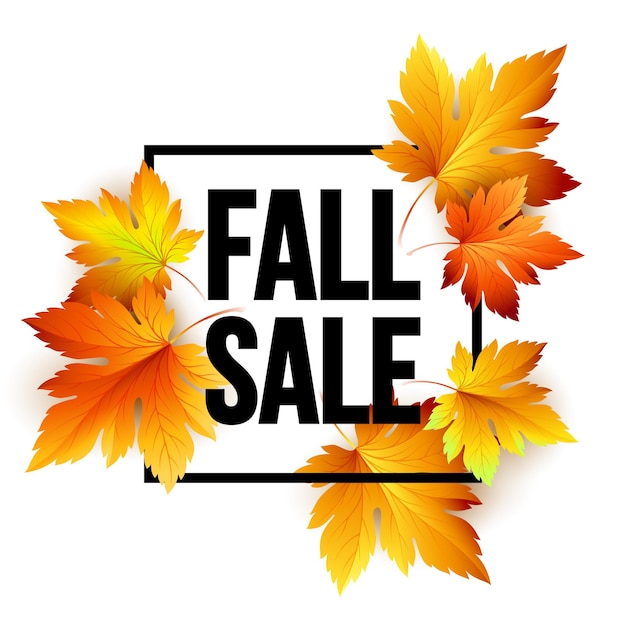 Autumn seasonal sale banner design. Fal leaf. Vector illustration EPS10