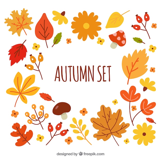 Free Vector autumn set background