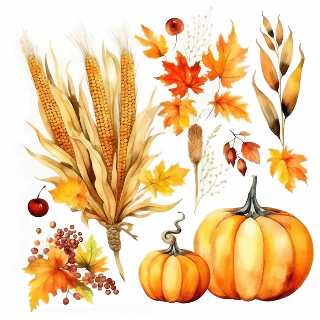 Autumn Thanksgiving watercolor clipart white background