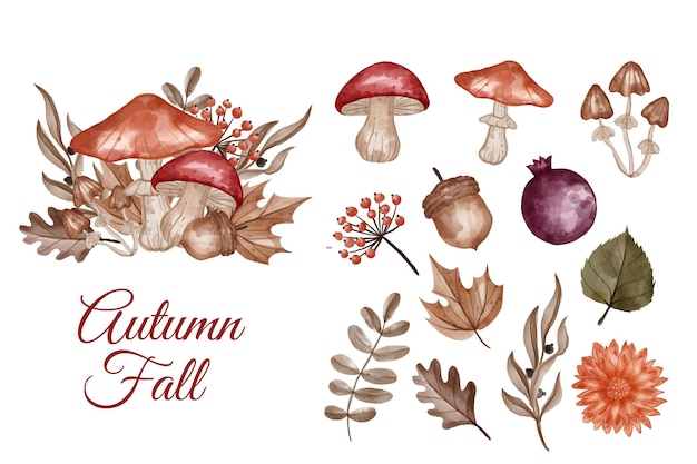 Autumn themed flower, leaves, and mushroom isolated clip-art