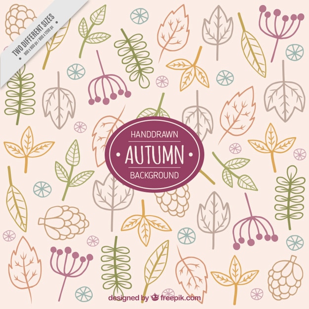 Free Vector autumnal background of beautiful sketches of leaves