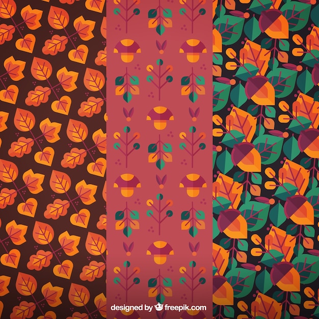 Free Vector autumnal patterns set in flat design 