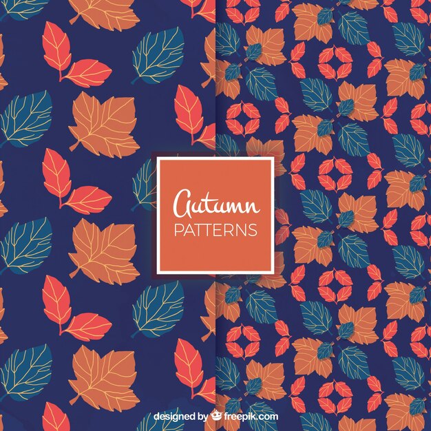 Autumnal patterns with blue background