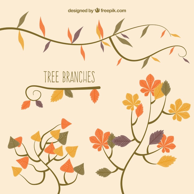 Autumnal tree branches