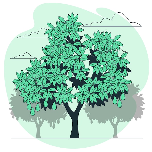 Avocado tree concept illustration