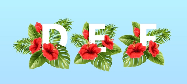 A B C letters surrounded by summer tropical leaves and red hibiscus flowers