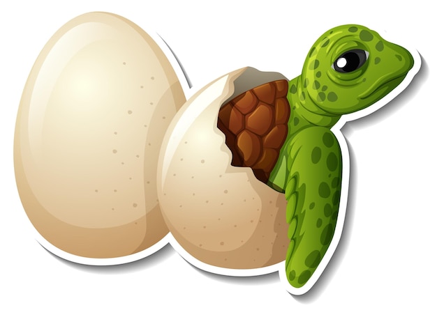 Free Vector baby turtle hatching from an egg animal cartoon sticker