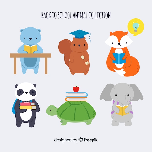 Back to school animal collection with panda