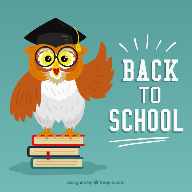 Free Vector back to school background with flat design