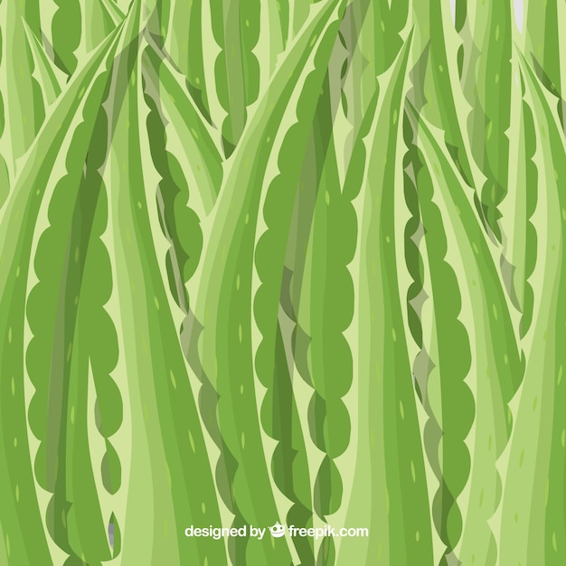 Free Vector background of aloe vera leaves