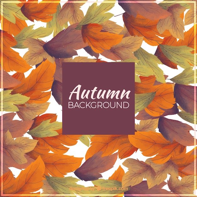 Free Vector background of autumnal watercolor dry leaves