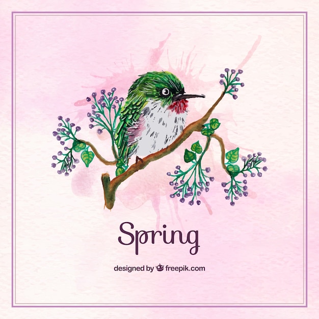 Free vector background of beautiful green watercolor bird on a branch