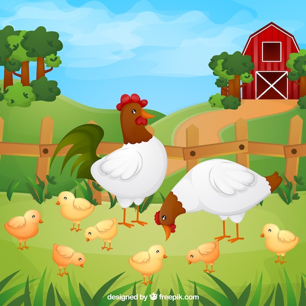 Free Vector background of chickens with chicks on the farm