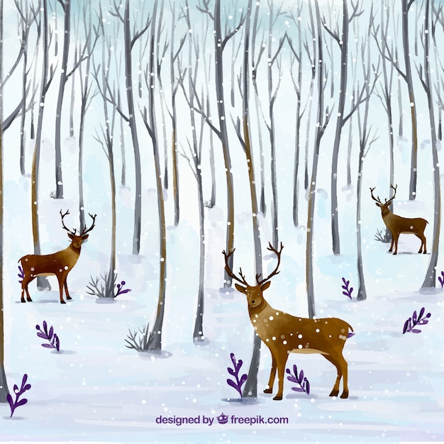 Background of deer in the forest