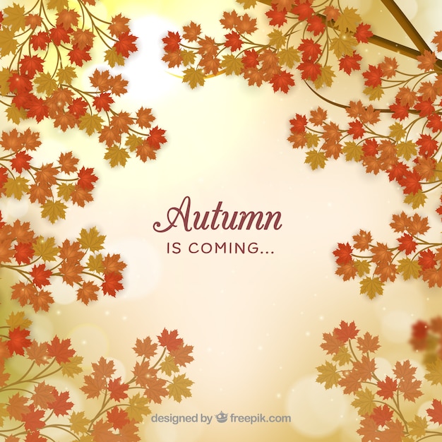 Background of dry autumn leaves