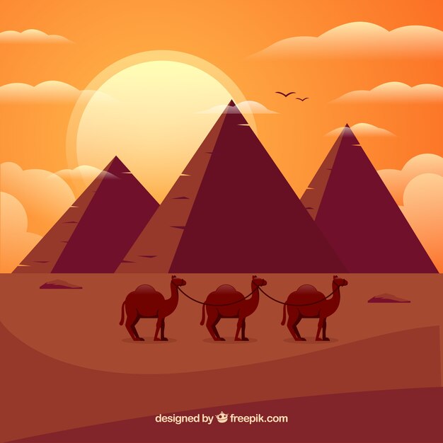 Background of egypt pyramids landscape with caravan of camels