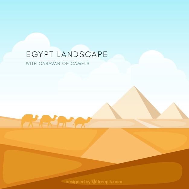 Background of egypt pyramids landscape with caravan of camels