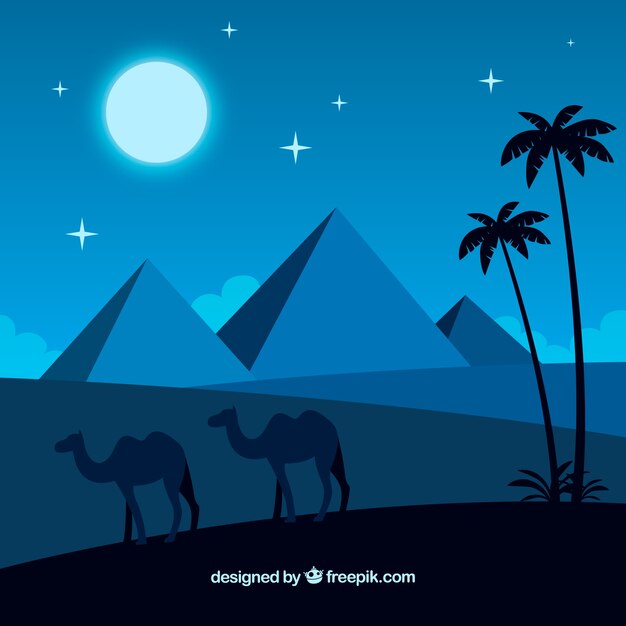 Background of egypt pyramids night landscape with caravan of camels