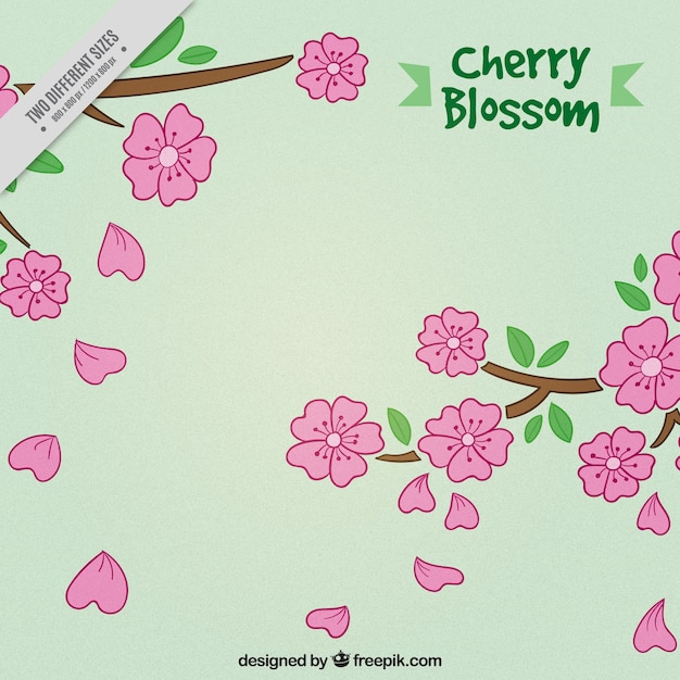 Free vector background of hand-drawn cherry blossoms