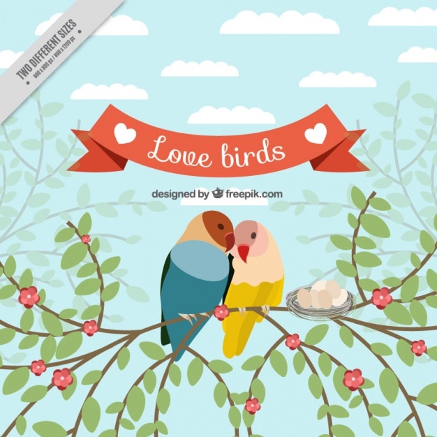 Free Vector background of loving birds on a branch