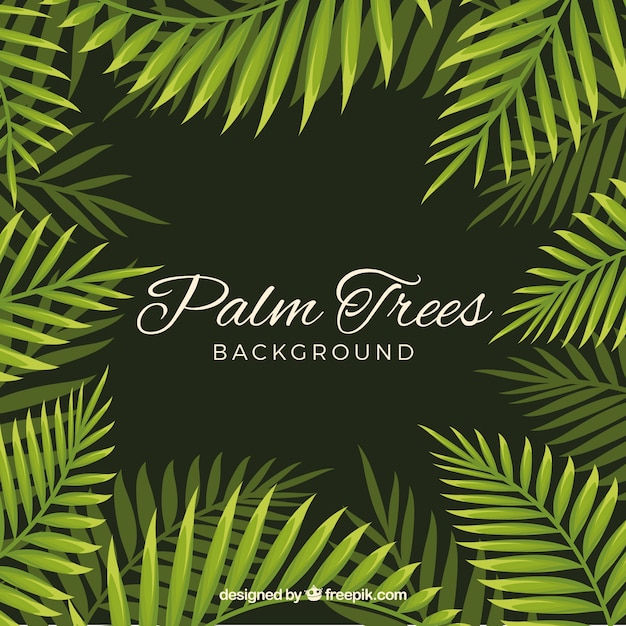 Background of palm leaves