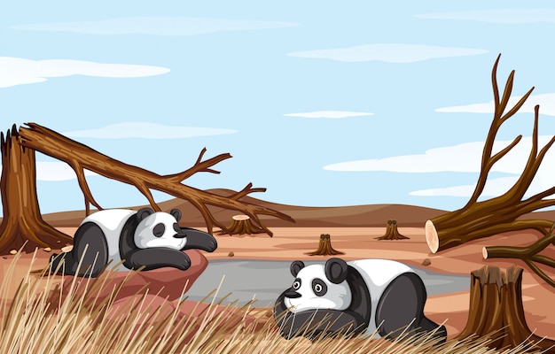 Free vector background scene with two pandas dying